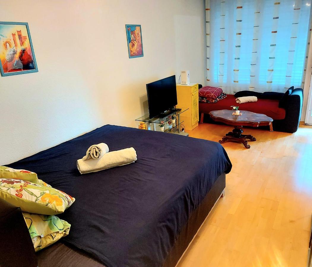 Large Apartment Bern City Centre Berna Exterior foto